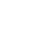 SAP Custom Reports